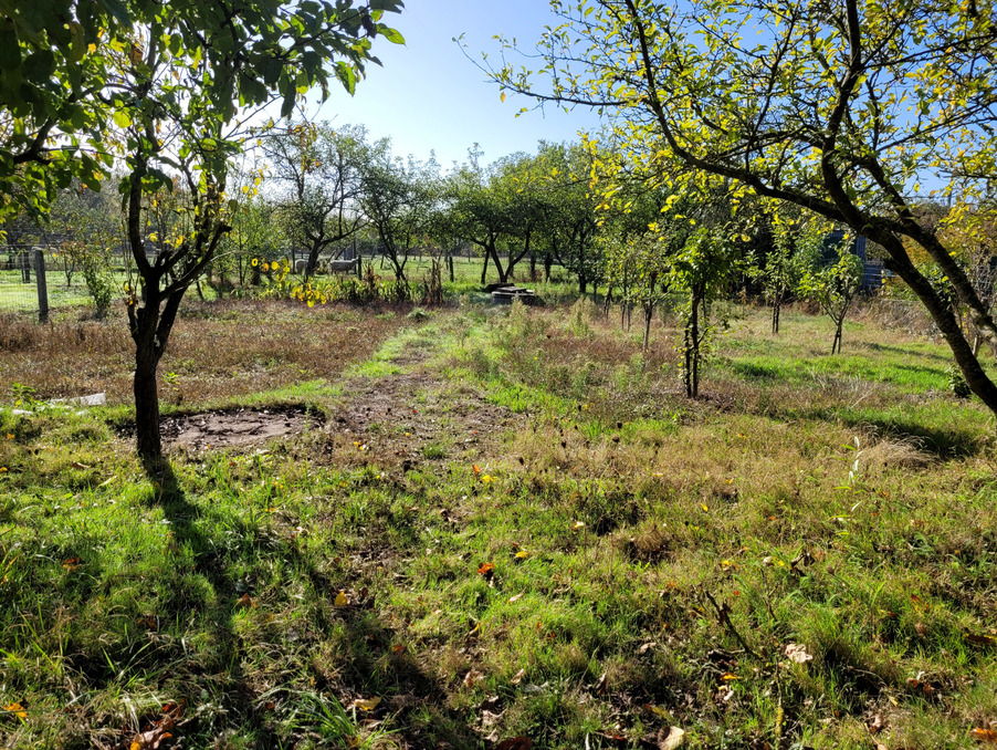 Vente Terrain Sablé-sur-Sarthe 10 000 €