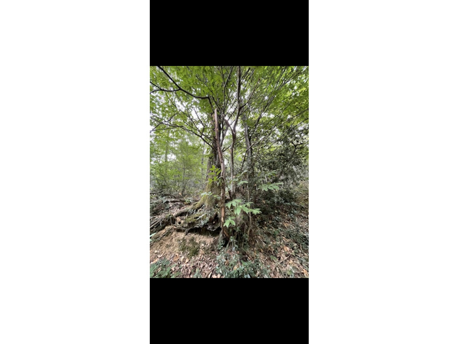 Vente Terrain Bonnefont 8 750 €