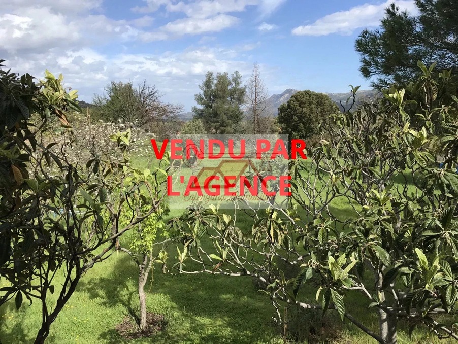 Vente Maison Calenzana  385 000 €