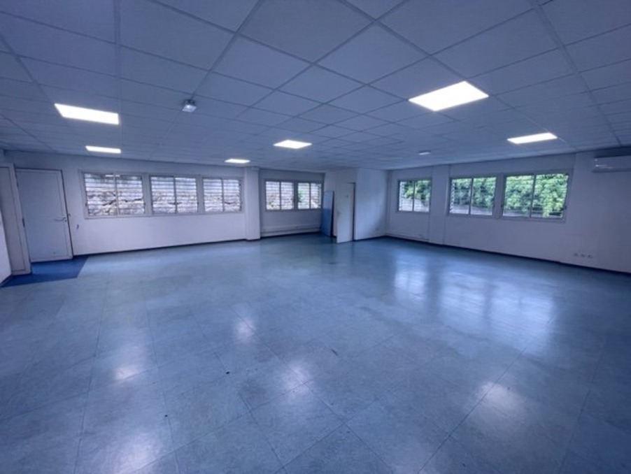 Location Professionnel SAINT GELY DU FESC 3 217 €