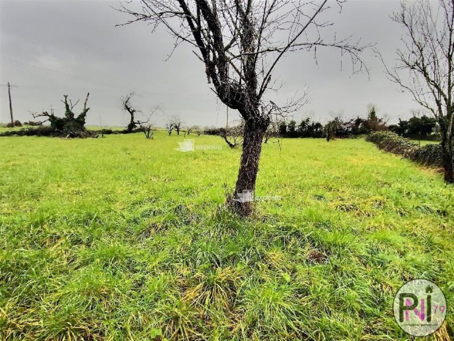 Vente Terrain NIORT 96 500 €