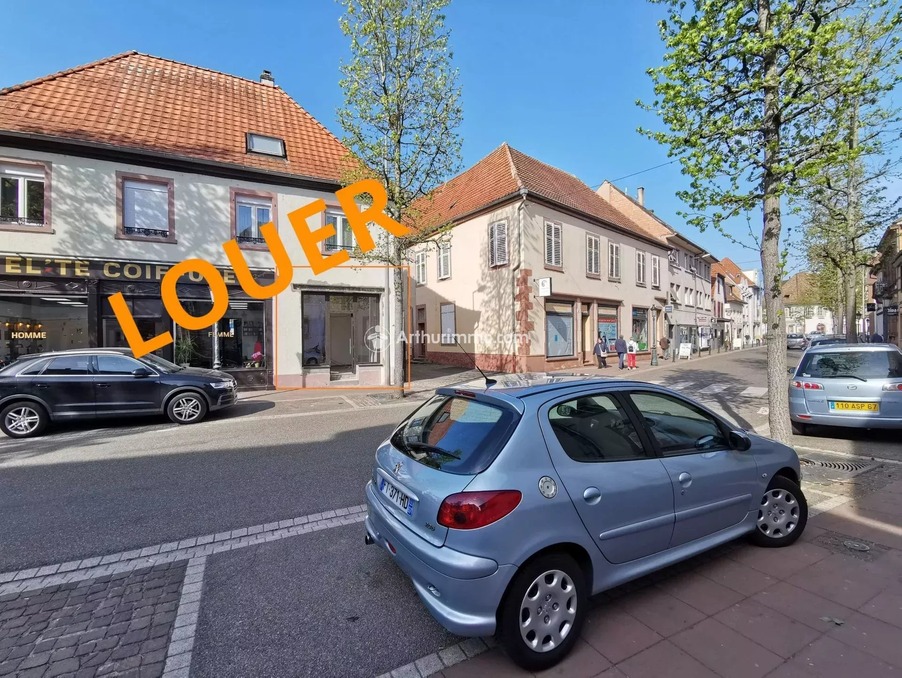 Location Professionnel Haguenau  920 €