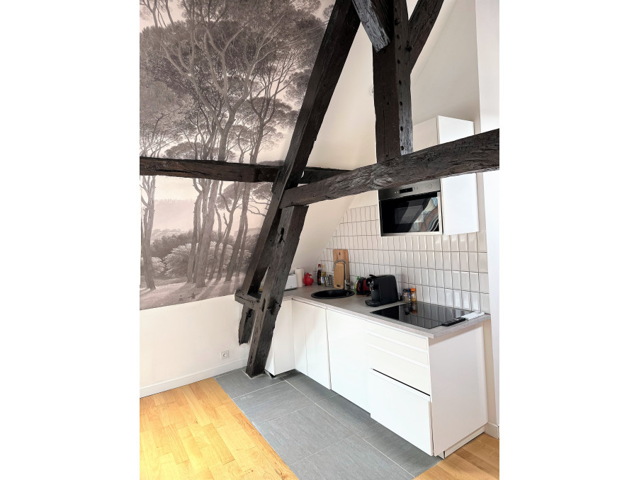 Location Appartement TROYES  430 €