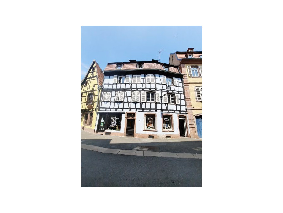 Location Appartement SELESTAT  350 €