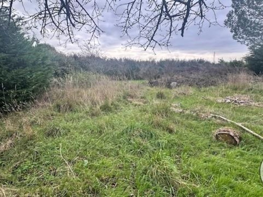 Vente Terrain VOUILLE 87 600 €