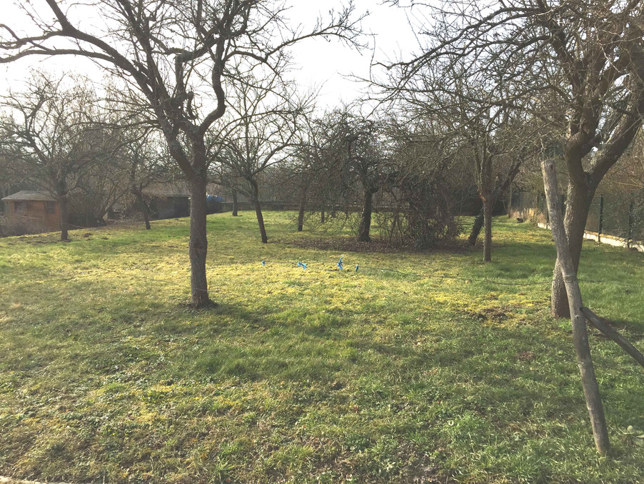 Vente Neuf OBERNAI  480 000 €
