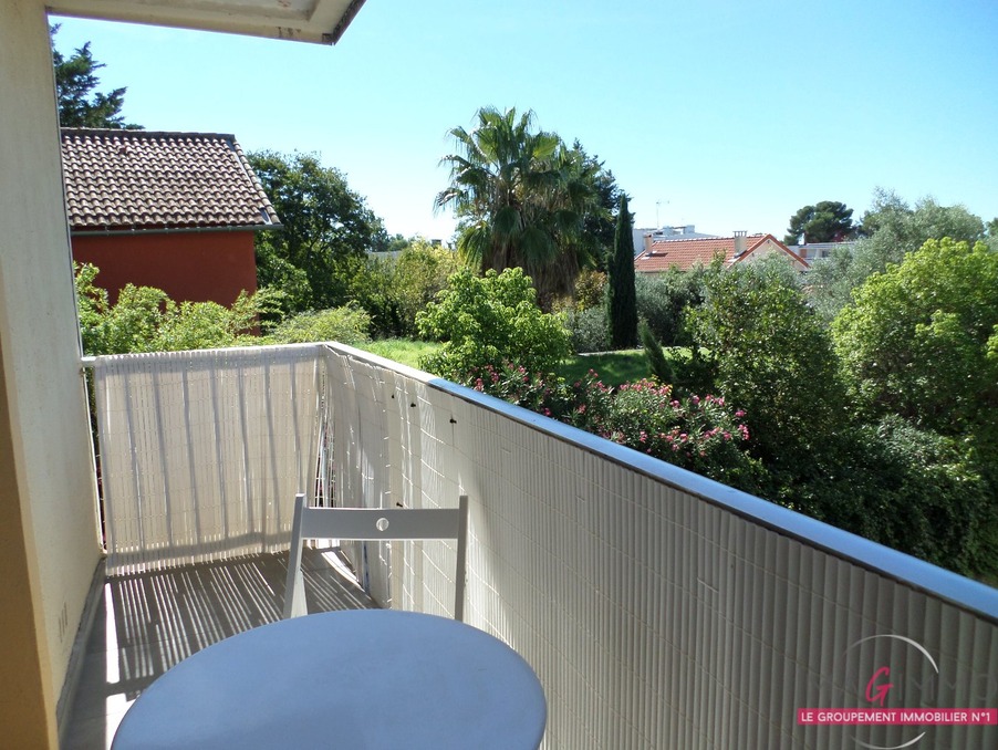 Location Appartement MONTPELLIER  787 €