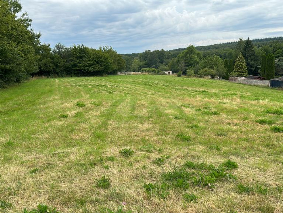 Vente Terrain TREMBLOIS LES ROCROI 49 990 €