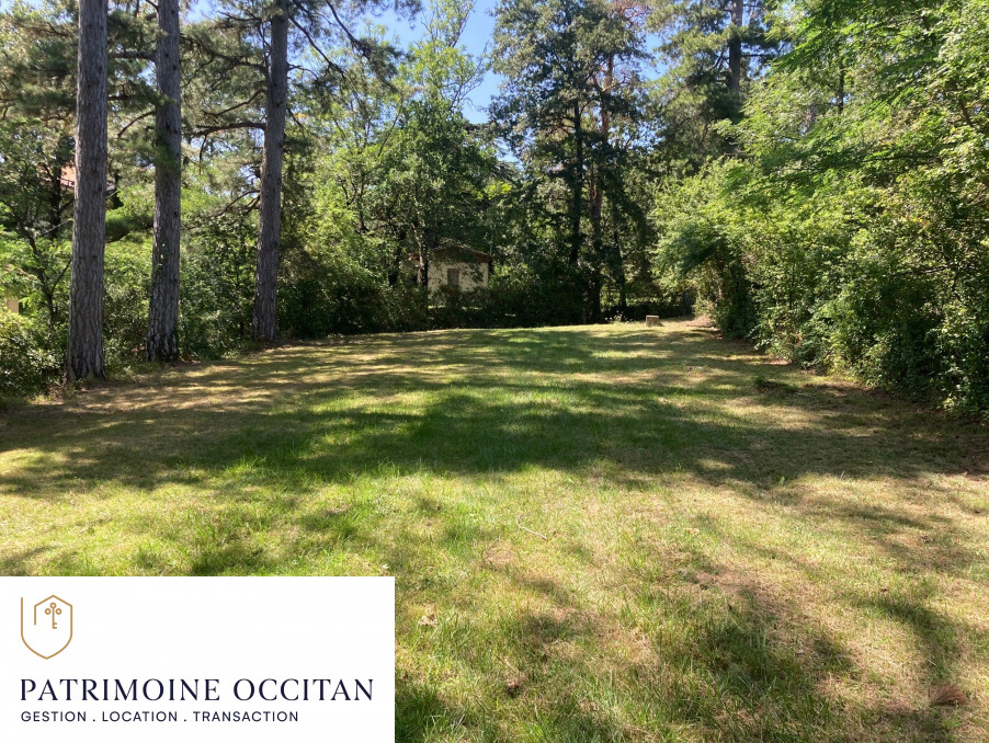 Vente Terrain SAINT-FERREOL-LE-LAC 92 000 €