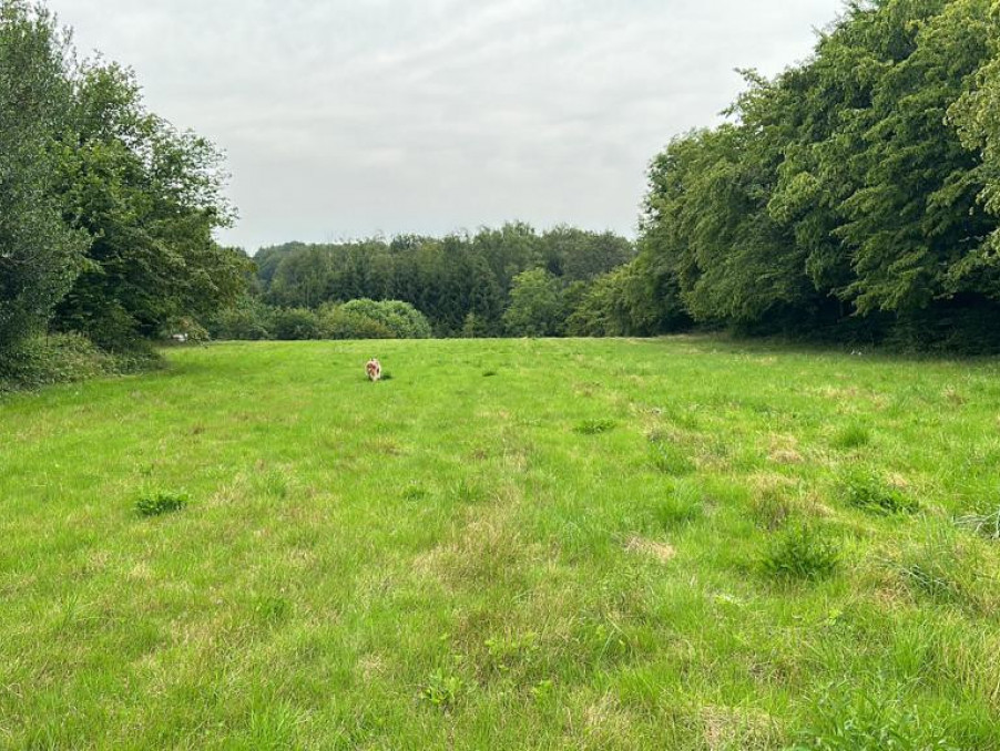 Vente Terrain Charleville mezieres 49 990 €