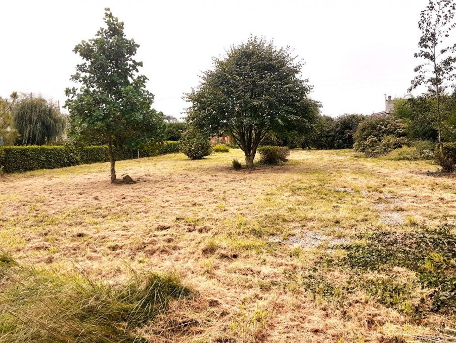 Vente Terrain Telgruc-sur-Mer  116 000 €