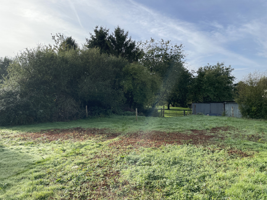 Vente Terrain LA CHAPELLE D'ANDAINE 13 800 €