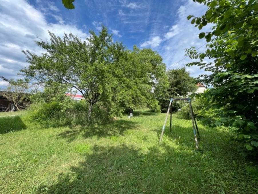 Vente Terrain Sessenheim  169 000 €
