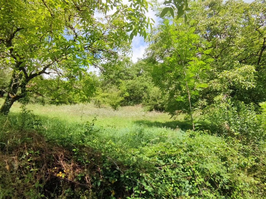 Vente Terrain Espalion 49 000 €