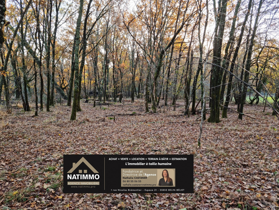 Vente Terrain Moustey 80 000 €