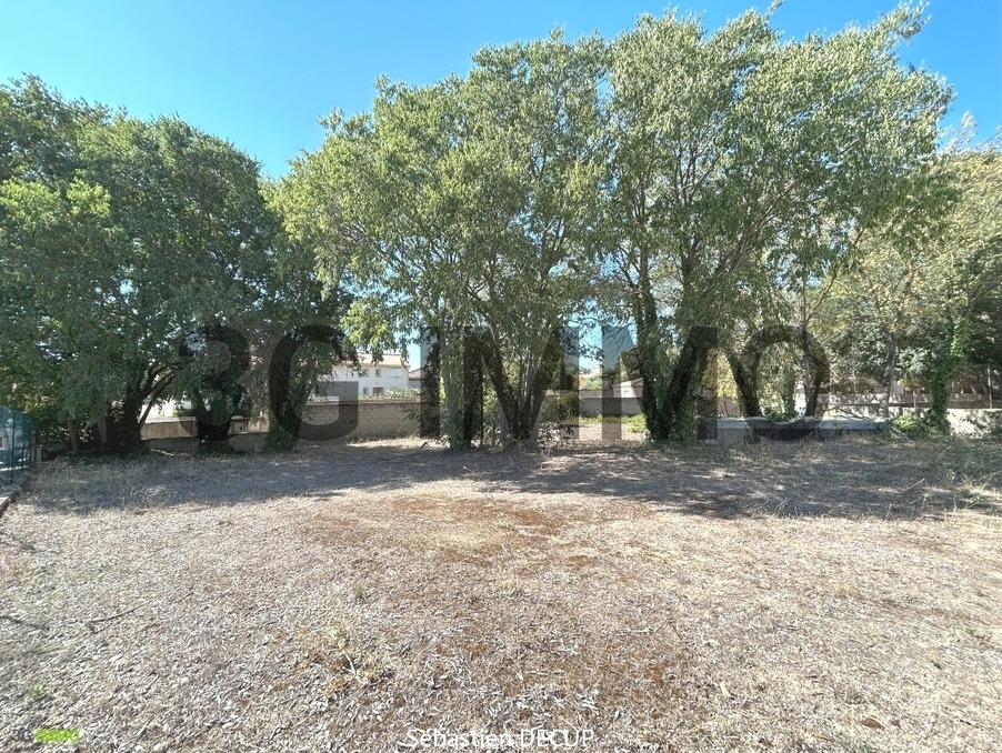 Vente Terrain LIGNAN SUR ORB  325 000 €
