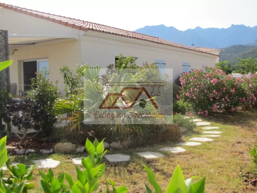 Location Maison Calenzana 1 145 €