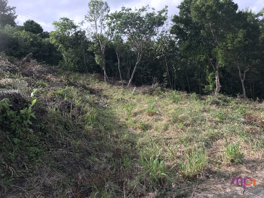 Vente Terrain Sainte-Luce 75 000 €
