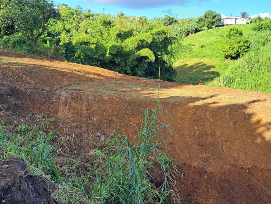 Vente Terrain Lorrain 64 000 €