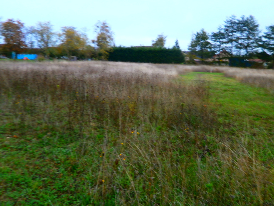 Vente Terrain Reuilly 23 000 €