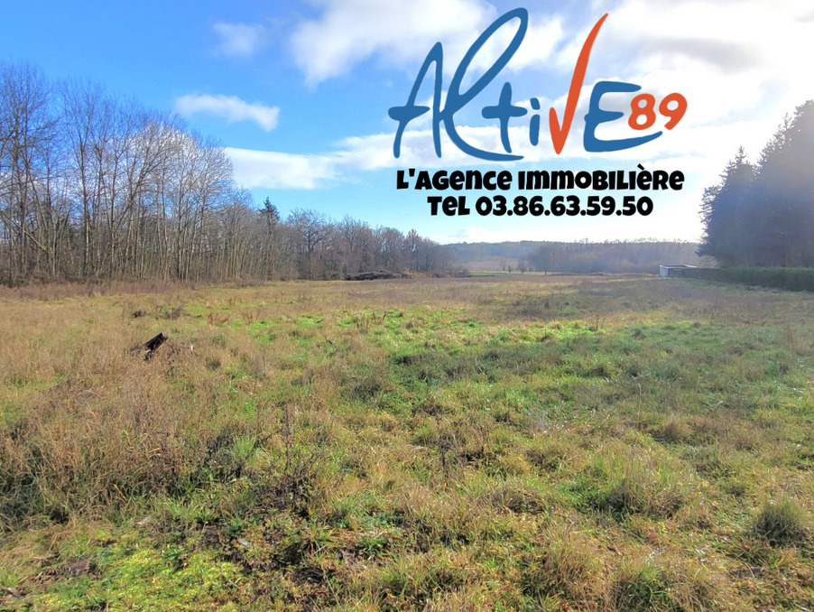 Vente Terrain Charbuy 41 500 €