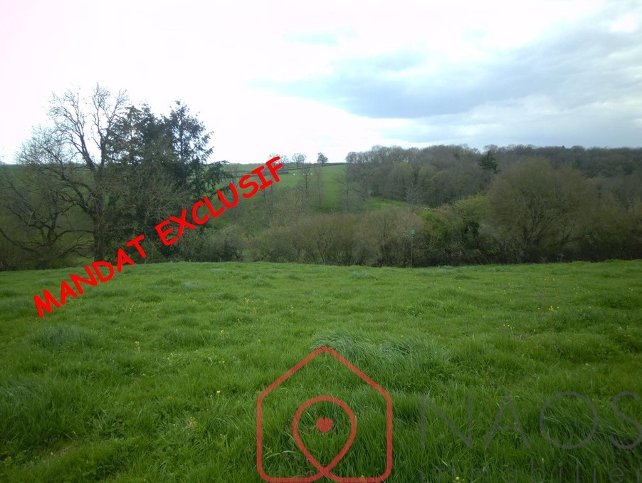 Vente Terrain MONTIGNY SUR ARMANCON 51 500 €