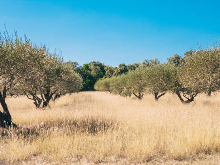 Vente Terrain LA MOTTE  232 000 €
