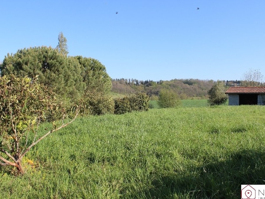 Vente Terrain MARCIAC 41 000 €