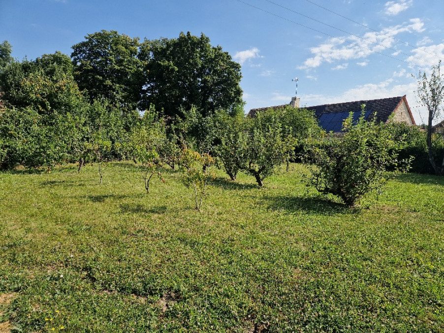 Vente Terrain MERCEUIL 59 000 €