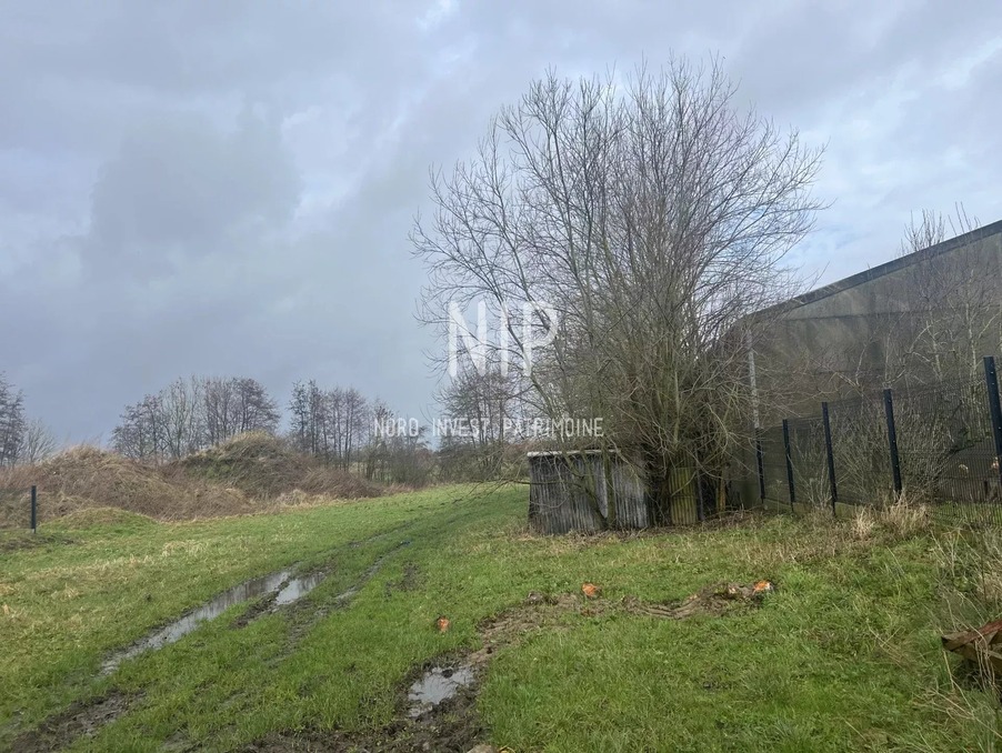 Vente Terrain Orchies 88 000 €
