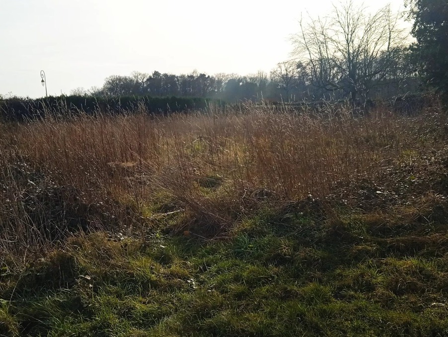 Vente Terrain Saint-Paul-de-Fourques 45 000 €