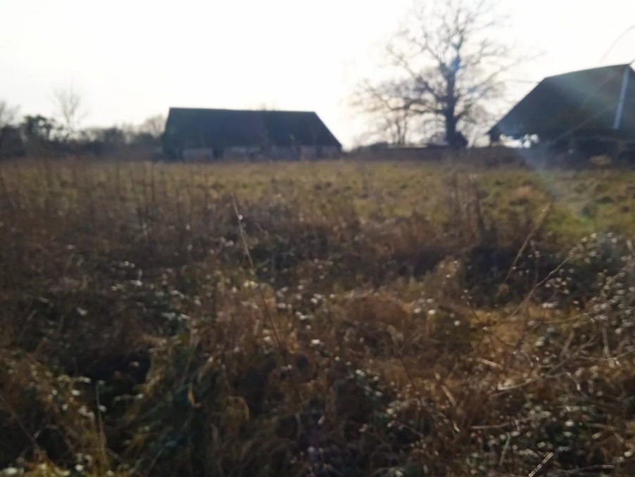 Vente Terrain Saint-Paul-de-Fourques 55 000 €