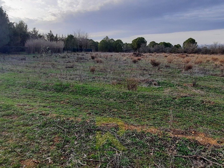Vente Terrain PORTIRAGNES 45 000 €