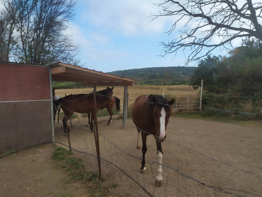 Vente Autre CAUX  216 900 €
