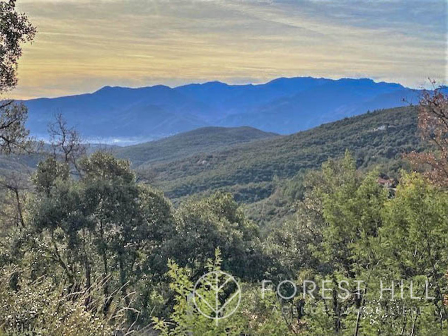 Vente Terrain Oms  195 000 €