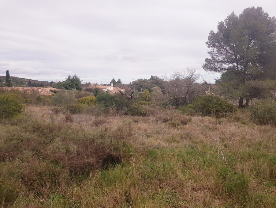 Vente Terrain PIGNAN  199 000 €