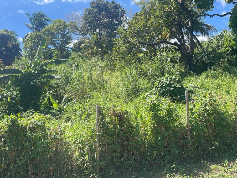 Vente Terrain SAINT-ESPRIT 89 000 €