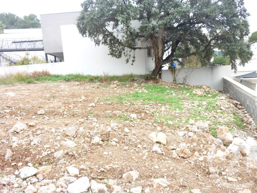 Vente Terrain Frontignan  280 000 €