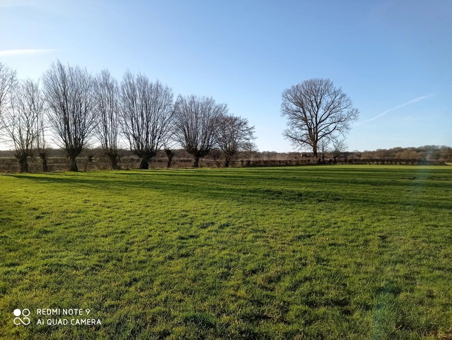 Vente Terrain Ors  262 500 €