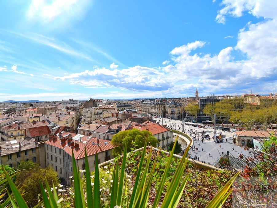 Vente Appartement MONTPELLIER  840 000 €