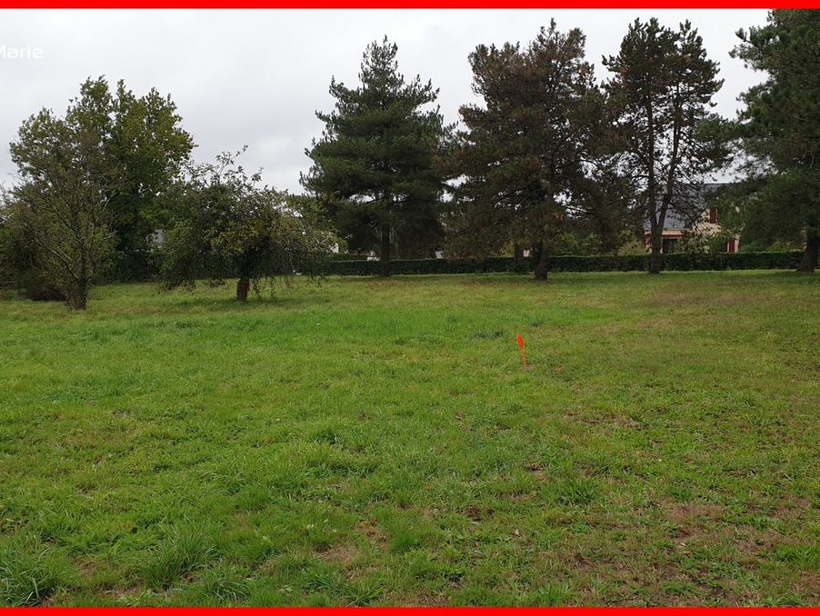 Vente Terrain Guemene penfao 98 500 €
