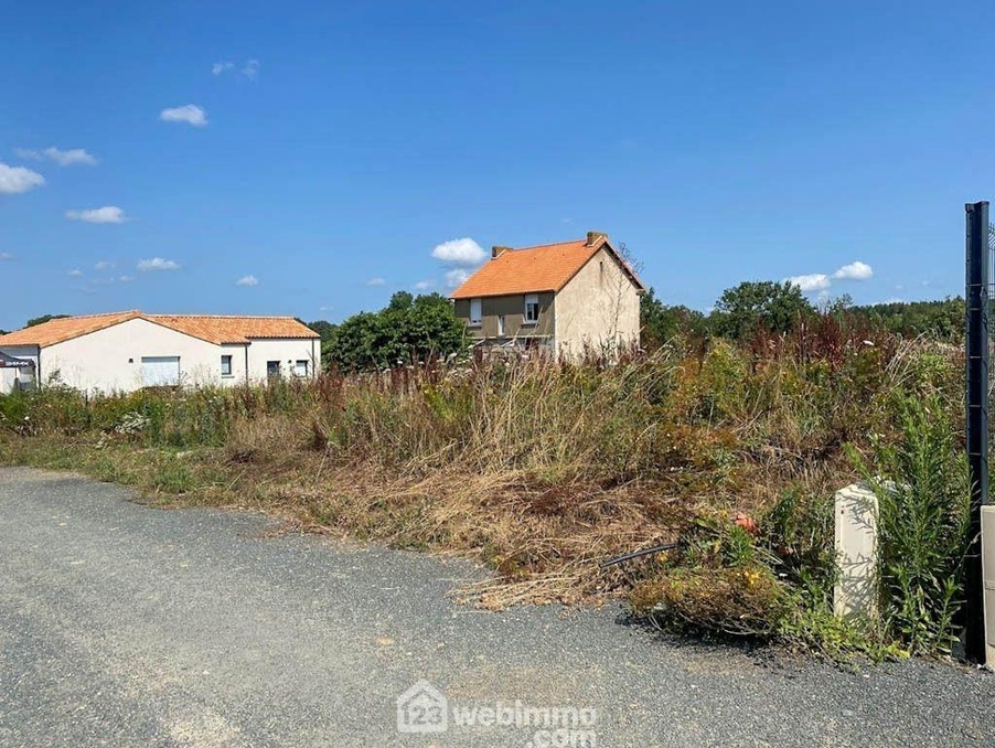Vente Terrain Sèvremoine 43 000 €