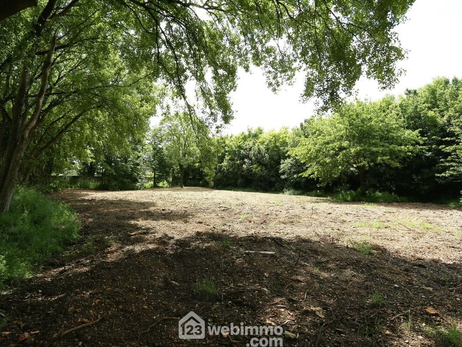 Vente Terrain Bourgneuf  214 900 €