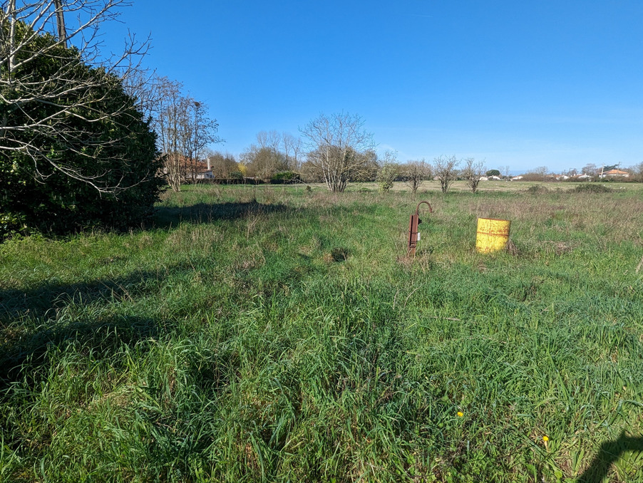 Vente Terrain Coulon 72 000 €