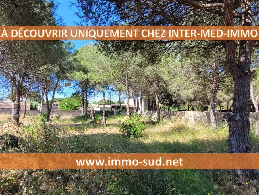 Vente Terrain LE GRAU D'AGDE  595 000 €