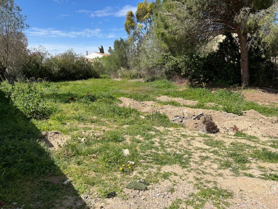 Vente Terrain Balaruc-les-Bains  329 000 €