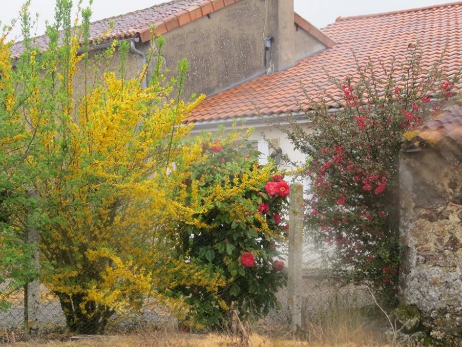 Vente Maison L'Absie  135 000 €