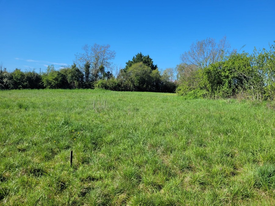 Vente Terrain CASTELNAU MONTRATIER 25 500 €