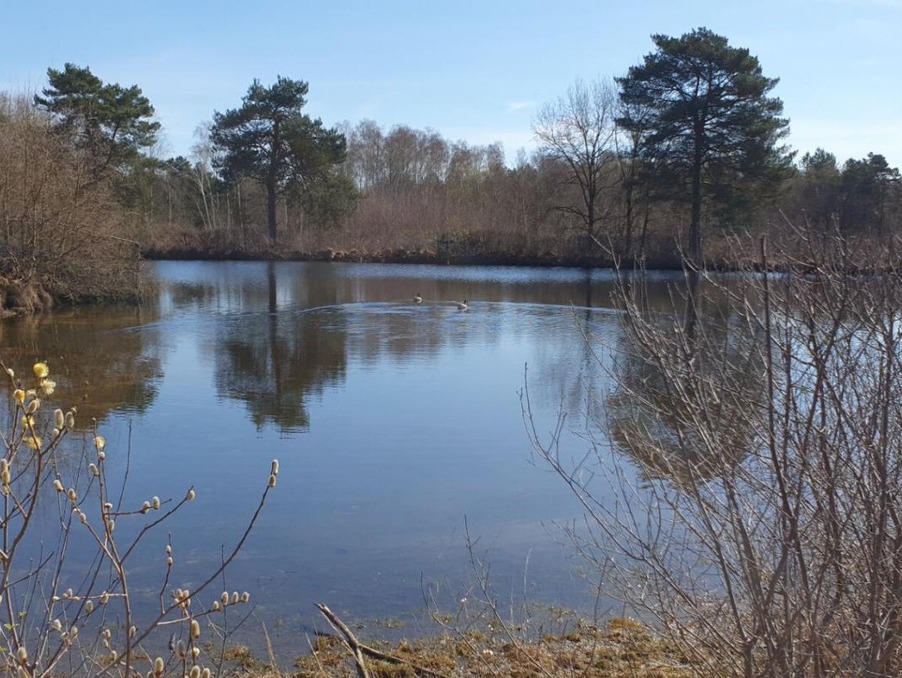 Vente Maison Neuvy-sur-Barangeon 1 272 000 €