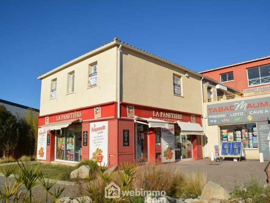 Vente Professionnel Le Crès  360 000 €